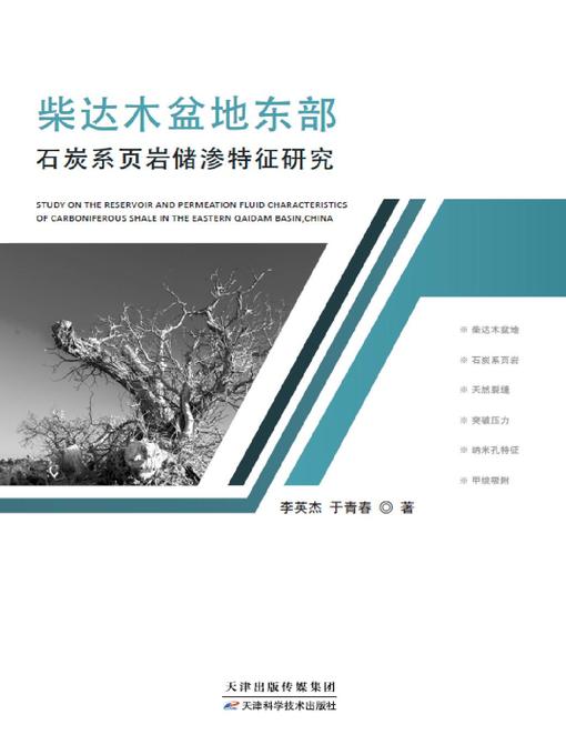 Title details for 柴达木盆地东部石炭页岩储渗特征研究 by 蒋胜男 - Available